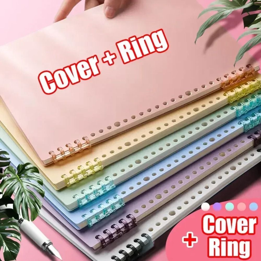 Ring Binder Box - 4 Fundas para Libros de Hojas