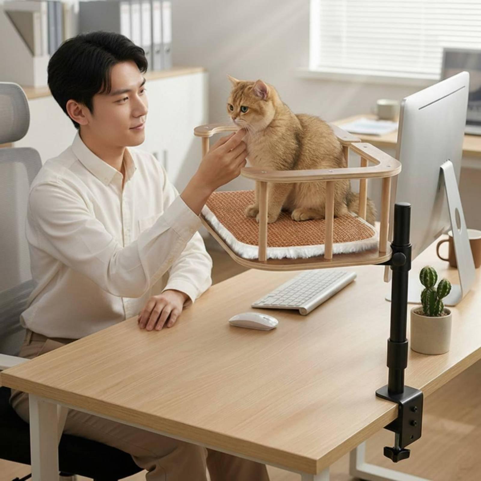 Desk Setup Requirements - Cama para Gatos con Abrazadera para