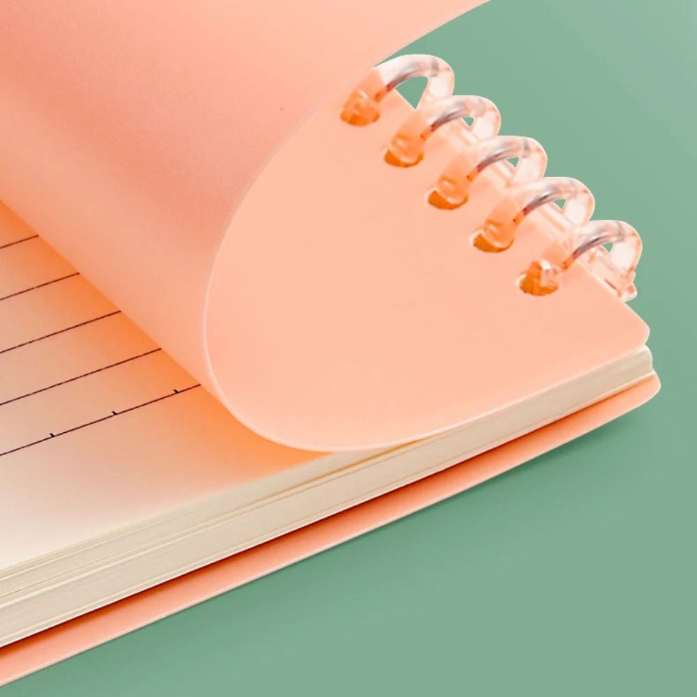 4 Fundas para Libros de Hojas  - Ring Binder Box reseña y precio