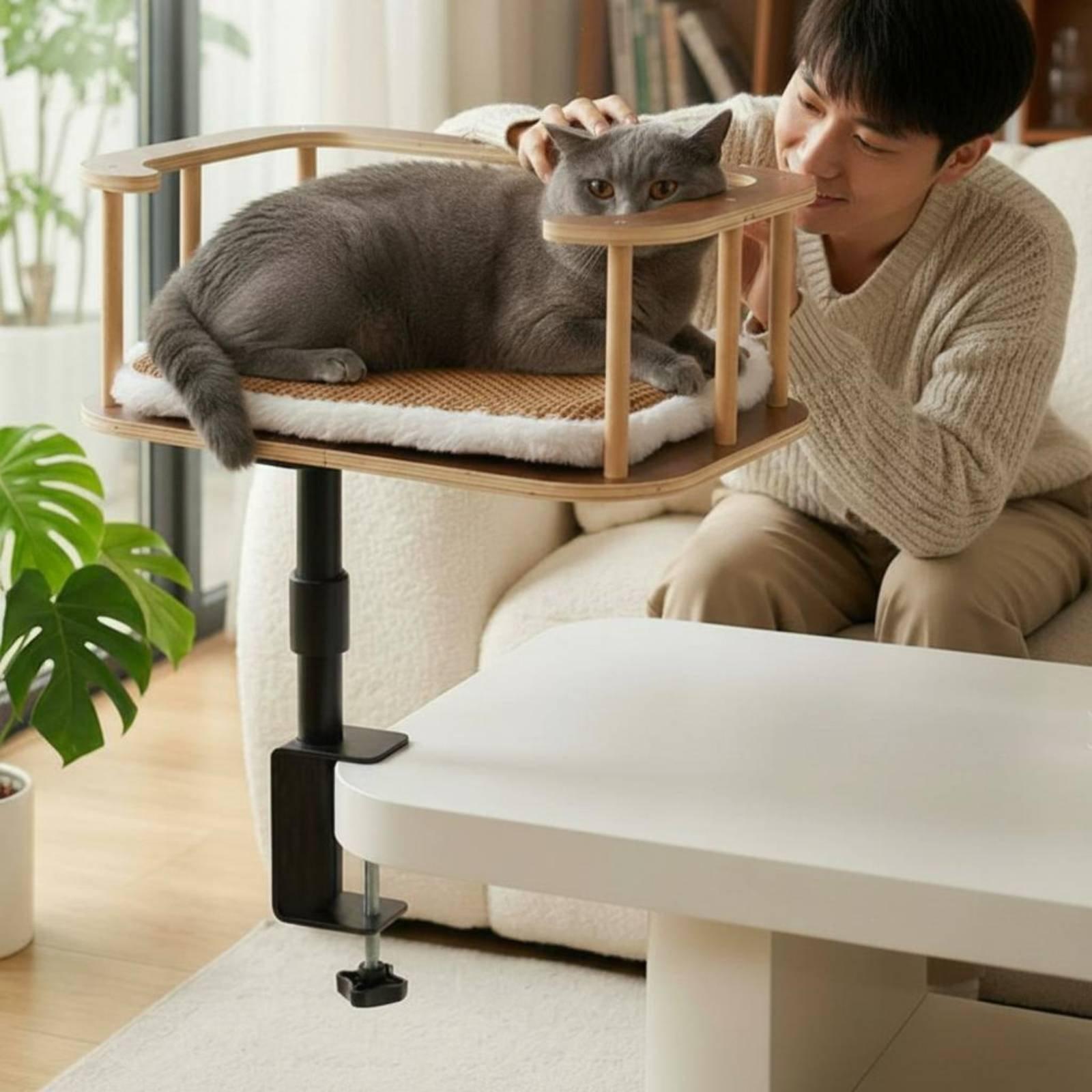 Cama para Gatos con Abrazadera - Desk Setup Requirements reseña y precio